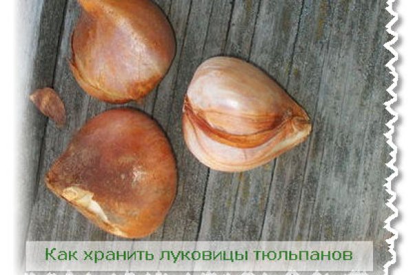 Ссылки на даркнет сайты