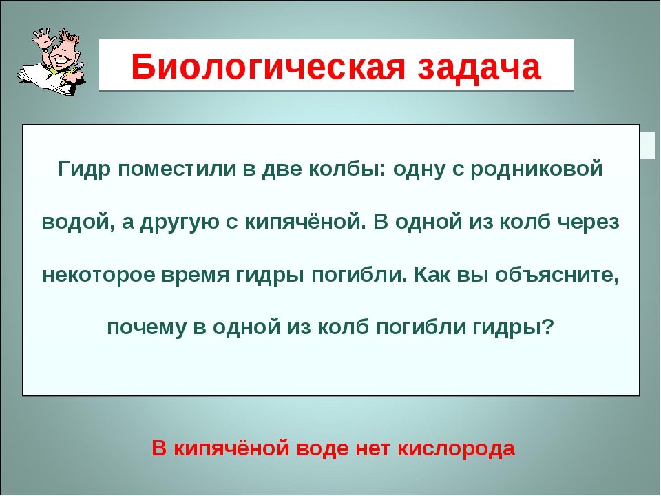 Кракен прямая ссылка