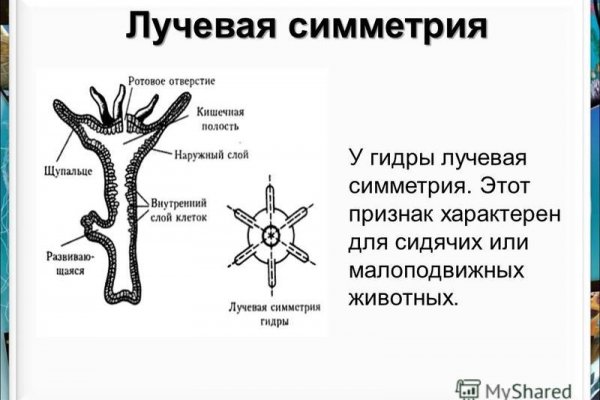 Craken что это