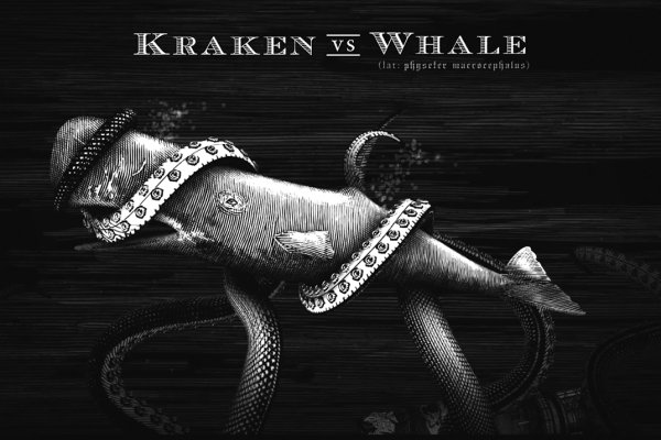Kraken 14 at