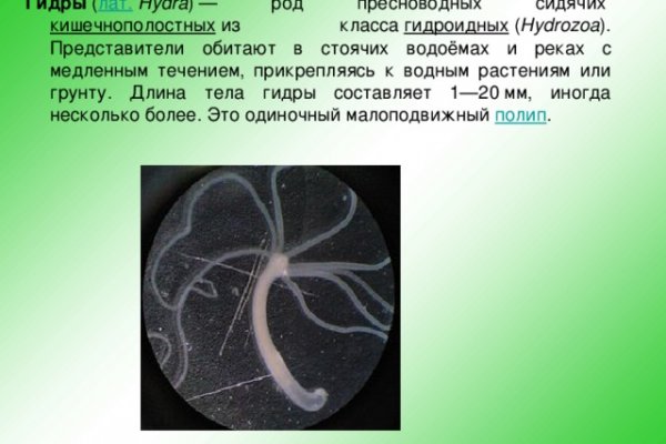 Кракен сайт krakens13 at