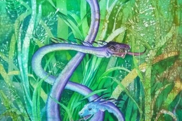 Kraken 18at