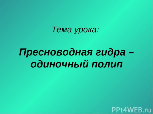 Новый адрес кракен