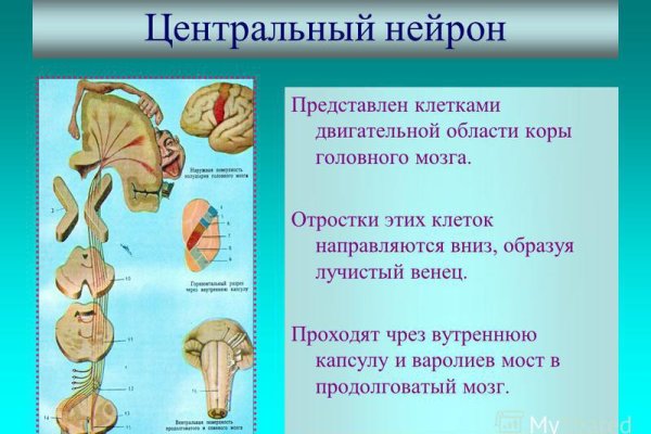 Kraken рабочее зеркало onion